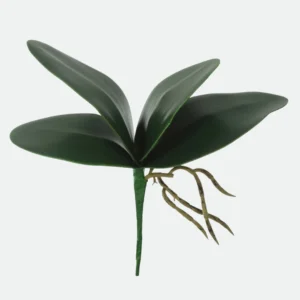 Folha Orquídea Phalaenopsis C/Arame X4 (Verde) 26cm
