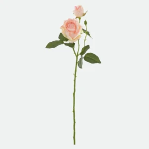 Haste Rosa c/2 (Rosa)54cm