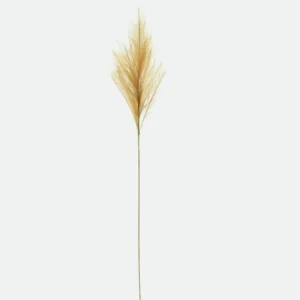 Haste Pluma Cor Chá 1,5m