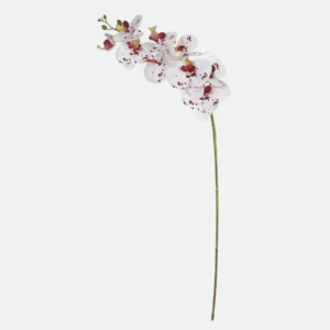Haste Orquídea Phalaenopsis Real Toque X9 (Branco c/ Vinho) 95cm