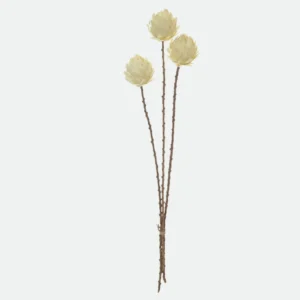 Buquê Alcachofra c/ 3unidades  60cm( creme)