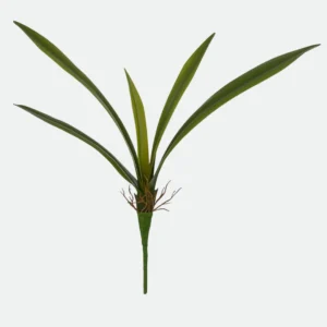 Folhagem Orquídea Cymbidium Real Toque  (Verde) 40cm
