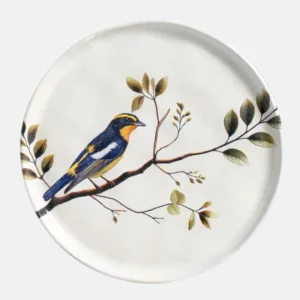 Prato de Sobremesa Bio Birdy 21,5cm