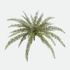 Folhagem Samambaia C/Print  X31 (Verde) 69Cm