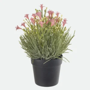 F.Flor Mini C/Pote X25 (Rosa) 20Cm