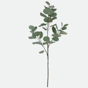Galho Eucalipto Gigante X35 (Verde) 1,20cm