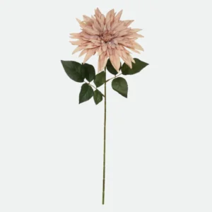 Haste Dalia Chá 63Cm (Florarte)